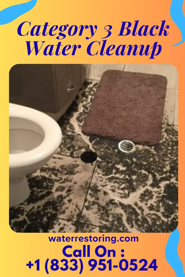 Category 3 Black Water Cleanup in Juarez, TX