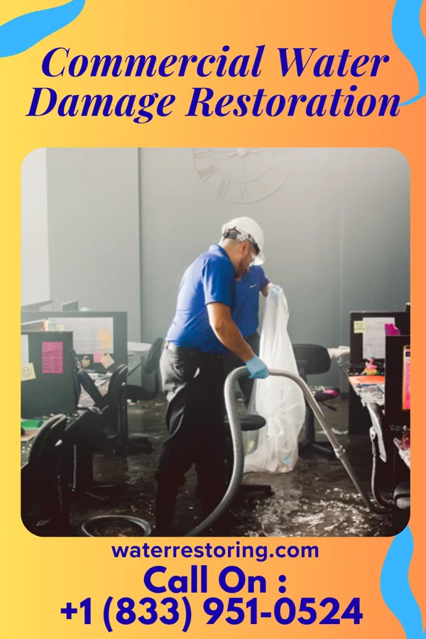 Commercial Water Damage Restoration in Juarez, TX