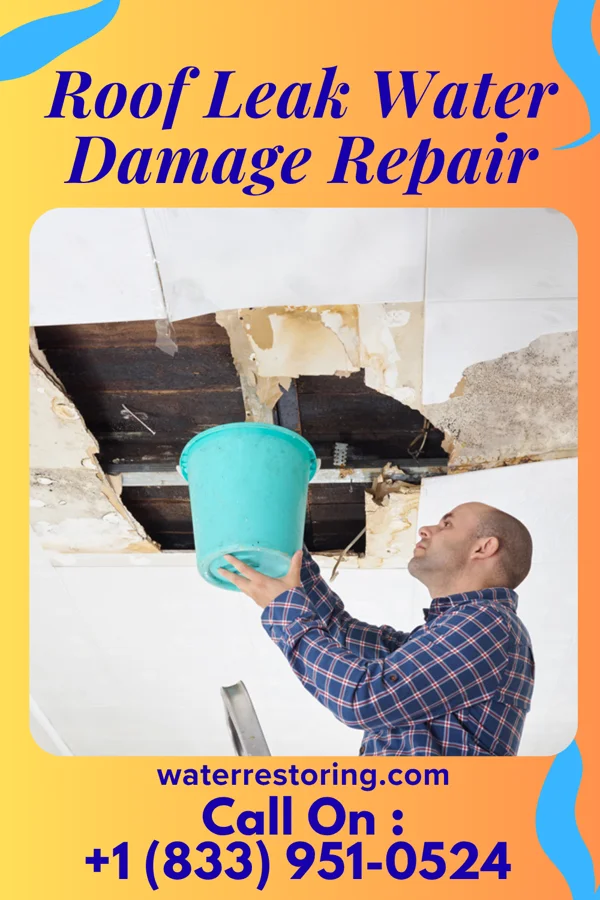 Roof Leak Water Damage Repair in Juarez, TX
